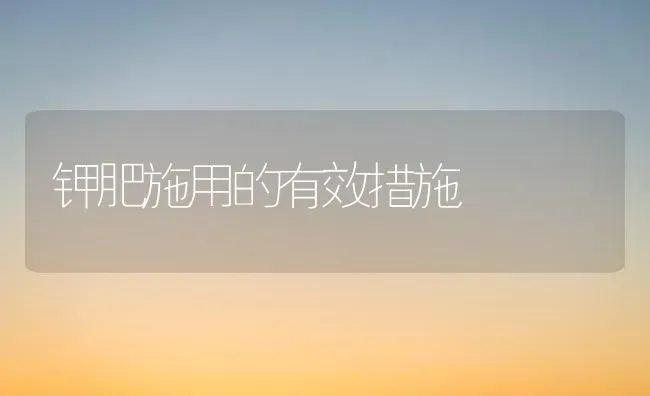 钾肥施用的有效措施 | 养殖知识