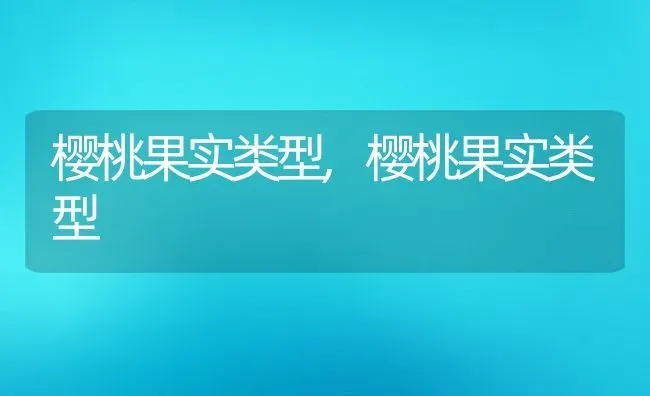 樱桃果实类型,樱桃果实类型 | 养殖科普