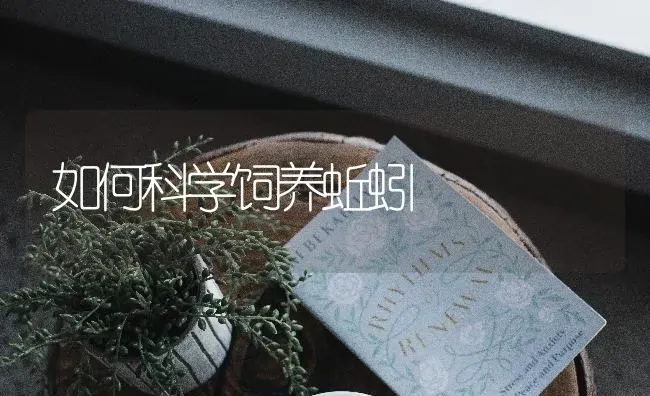 如何科学饲养蚯蚓 | 养殖技术大全