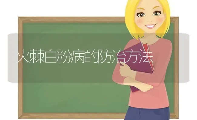 火棘白粉病的防治方法 | 养殖知识