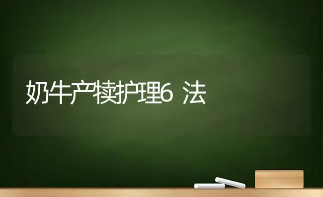 奶牛产犊护理6法 | 养殖知识