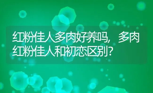 红粉佳人多肉好养吗,多肉红粉佳人和初恋区别？ | 养殖科普