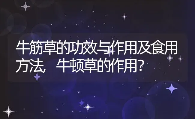 牛筋草的功效与作用及食用方法,牛顿草的作用？ | 养殖科普
