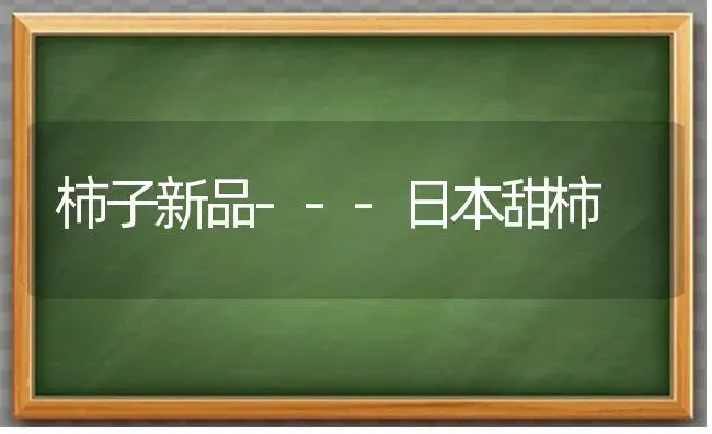 柿子新品---日本甜柿 | 养殖技术大全