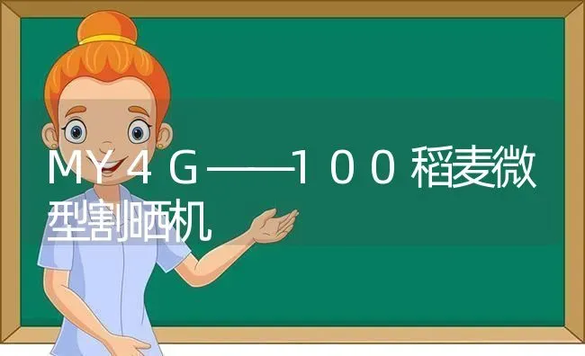 MY4G——100稻麦微型割晒机 | 养殖知识