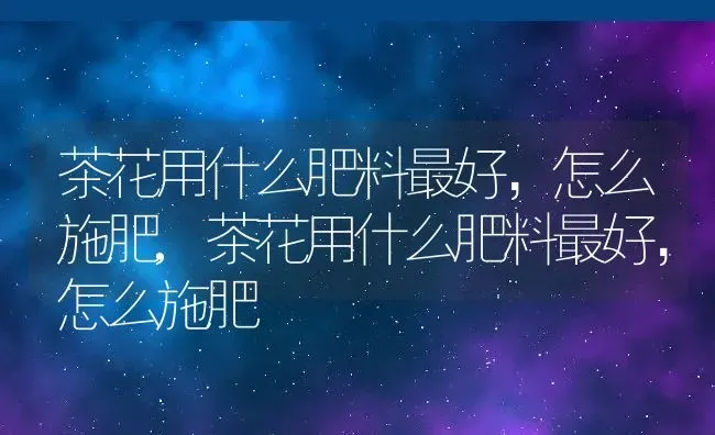 茶花用什么肥料最好，怎么施肥,茶花用什么肥料最好，怎么施肥 | 养殖科普