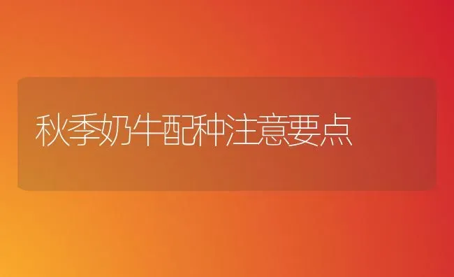秋季奶牛配种注意要点 | 养殖技术大全