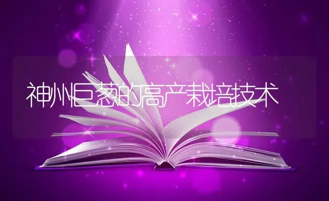 养鸽驱虫的注意事项 | 养殖技术大全