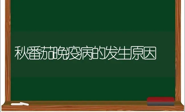 秋番茄晚疫病的发生原因 | 养殖知识