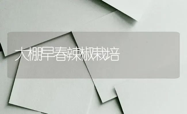 大棚早春辣椒栽培 | 养殖知识