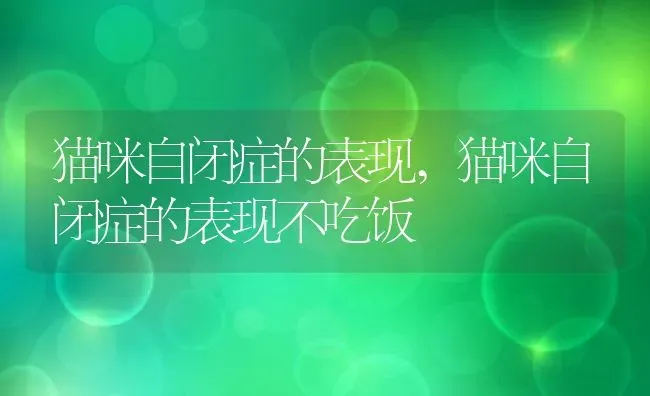 猫咪自闭症的表现,猫咪自闭症的表现不吃饭 | 养殖科普