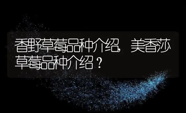 香野草莓品种介绍,美香莎草莓品种介绍？ | 养殖科普
