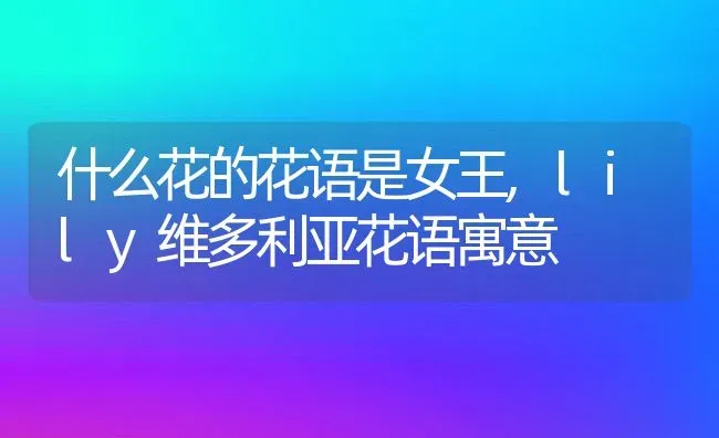 什么花的花语是女王,lily维多利亚花语寓意 | 养殖学堂