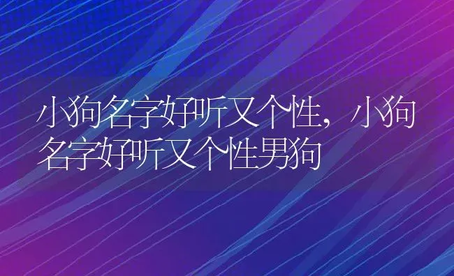 小狗名字好听又个性,小狗名字好听又个性男狗 | 养殖科普