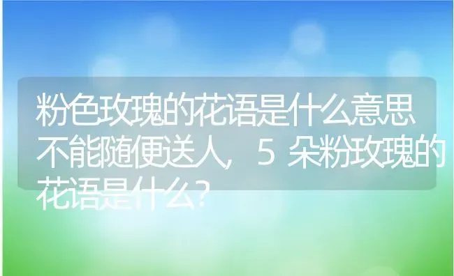 粉色玫瑰的花语是什么意思不能随便送人,5朵粉玫瑰的花语是什么？ | 养殖科普