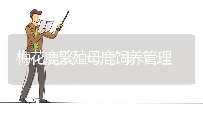 梅花鹿繁殖母鹿饲养管理 | 养殖知识
