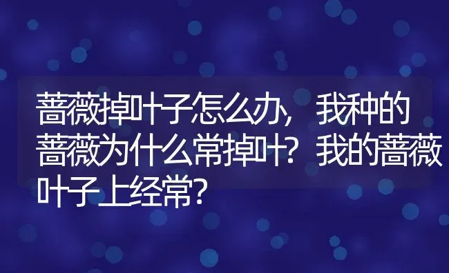 蔷薇掉叶子怎么办,我种的蔷薇为什么常掉叶?我的蔷薇叶子上经常？ | 养殖科普