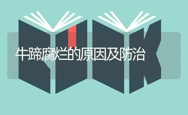 牛蹄腐烂的原因及防治 | 养殖技术大全