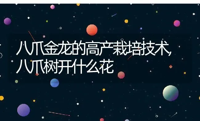 八爪金龙的高产栽培技术,八爪树开什么花 | 养殖学堂