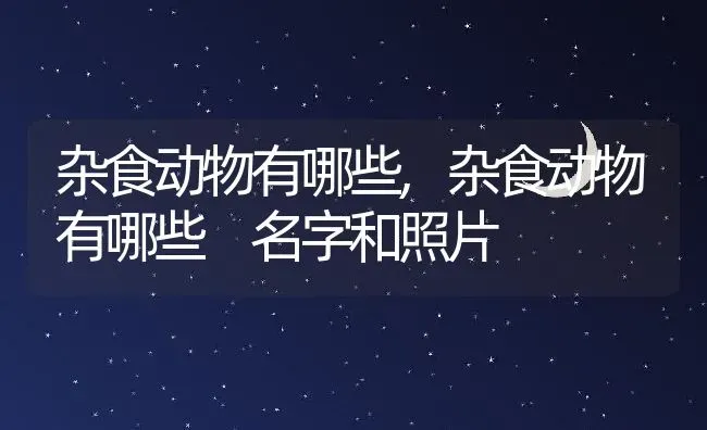 杂食动物有哪些,杂食动物有哪些 名字和照片 | 养殖科普