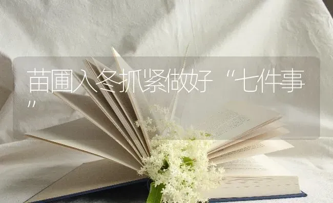 苗圃入冬抓紧做好“七件事” | 养殖知识