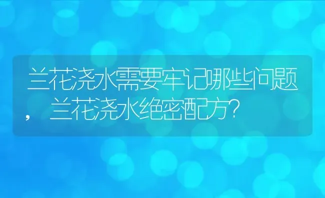 兰花浇水需要牢记哪些问题,兰花浇水绝密配方？ | 养殖科普