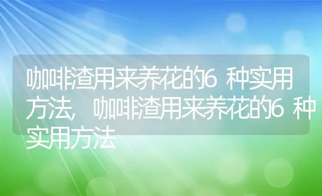 咖啡渣用来养花的6种实用方法,咖啡渣用来养花的6种实用方法 | 养殖科普