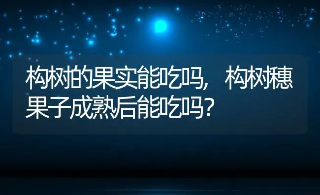 构树的果实能吃吗,构树穗果子成熟后能吃吗？ | 养殖科普