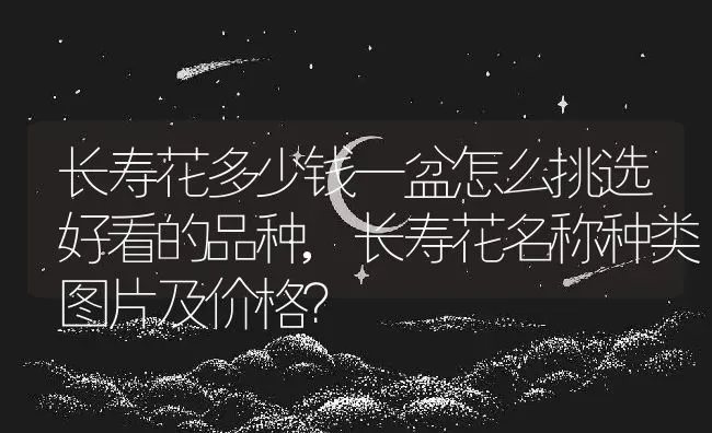长寿花多少钱一盆怎么挑选好看的品种,长寿花名称种类图片及价格？ | 养殖科普