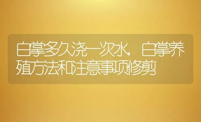 白掌多久浇一次水,白掌养殖方法和注意事项修剪 | 养殖学堂