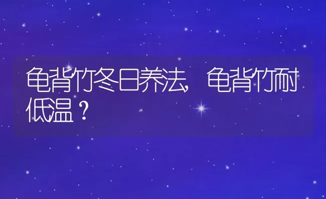 龟背竹冬日养法,龟背竹耐低温？ | 养殖科普