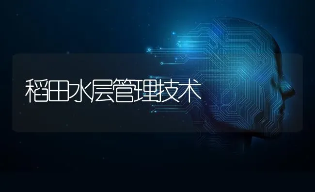 稻田水层管理技术 | 养殖技术大全