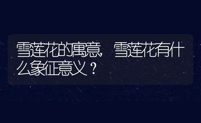 雪莲花的寓意,雪莲花有什么象征意义？ | 养殖科普