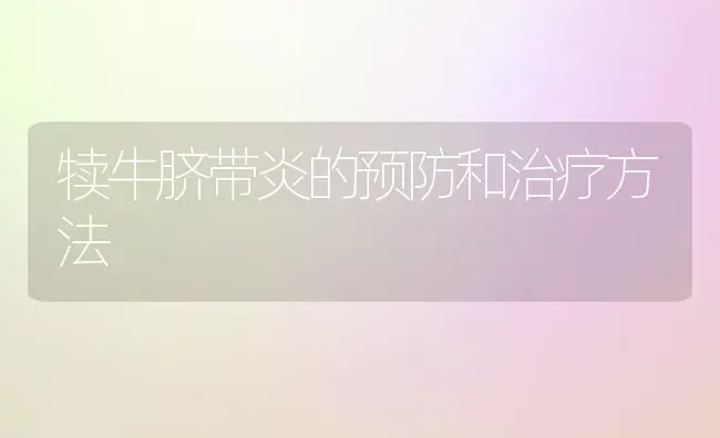 犊牛脐带炎的预防和治疗方法 | 养殖技术大全