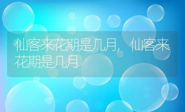 仙客来花期是几月,仙客来花期是几月 | 养殖科普