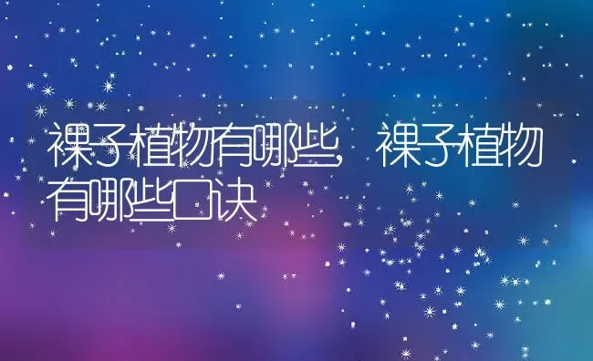 裸子植物有哪些,裸子植物有哪些口诀 | 养殖学堂