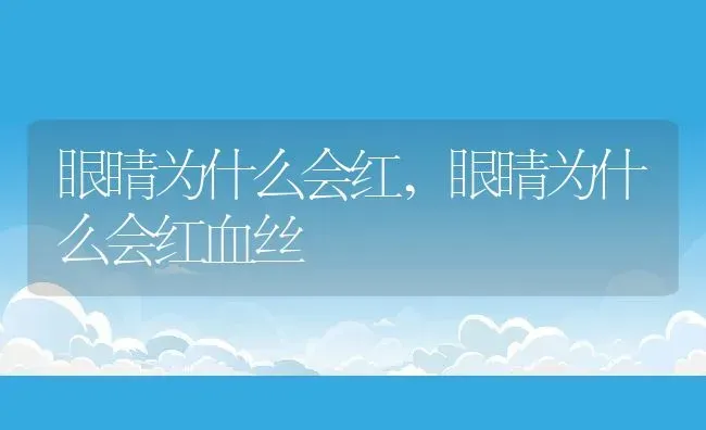 眼睛为什么会红,眼睛为什么会红血丝 | 养殖资料