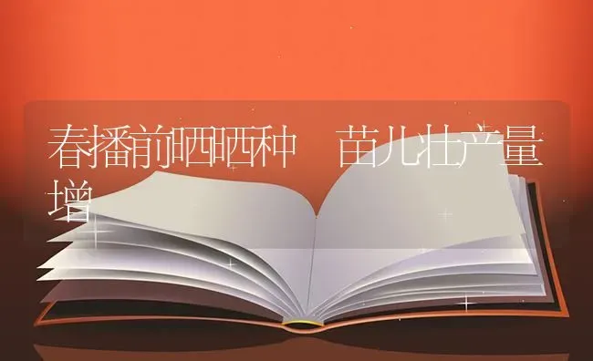 春播前晒晒种 苗儿壮产量增 | 养殖知识