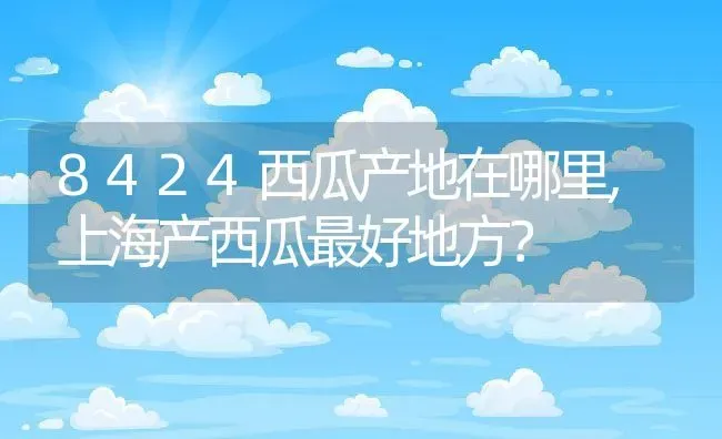 8424西瓜产地在哪里,上海产西瓜最好地方？ | 养殖科普