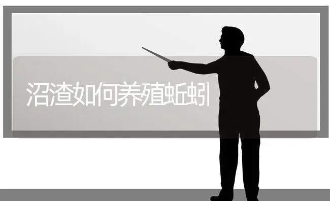 沼渣如何养殖蚯蚓 | 养殖技术大全