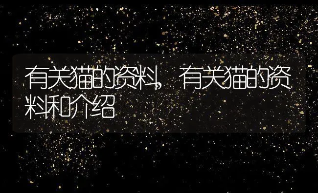 有关猫的资料,有关猫的资料和介绍 | 养殖资料