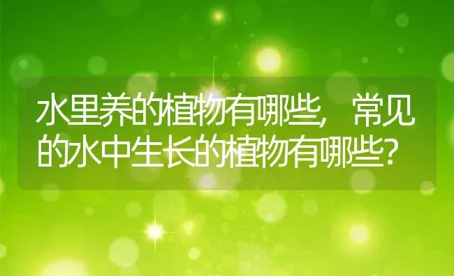 鱼的记忆力是多长时间,鱼的记忆力是多长时间百度百科 | 养殖科普