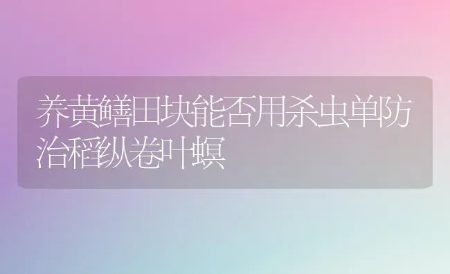 养黄鳝田块能否用杀虫单防治稻纵卷叶螟 | 养殖知识