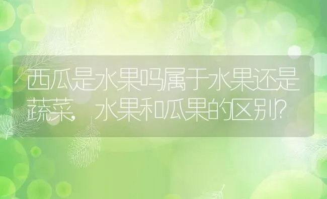 西瓜是水果吗属于水果还是蔬菜,水果和瓜果的区别？ | 养殖科普