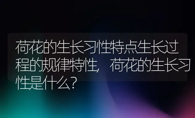 荷花的生长习性特点生长过程的规律特性,荷花的生长习性是什么？ | 养殖科普