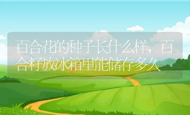 百合花的种子长什么样,百合籽放冰箱里能储存多久 | 养殖学堂