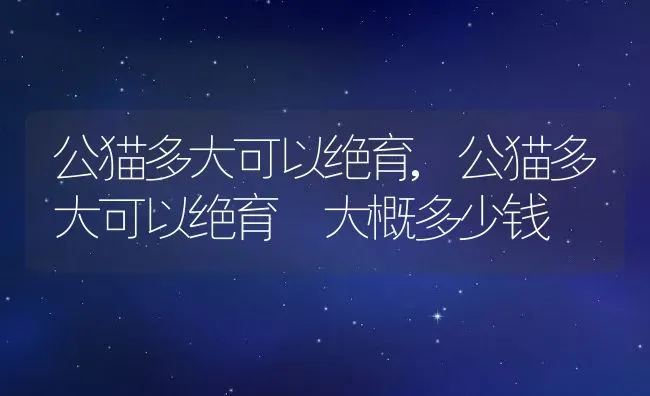 公猫多大可以绝育,公猫多大可以绝育 大概多少钱 | 养殖科普