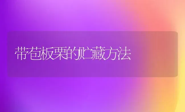 带苞板栗的贮藏方法 | 养殖技术大全