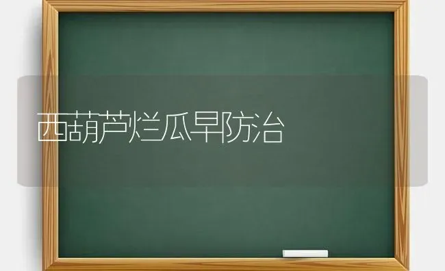 西葫芦烂瓜早防治 | 养殖技术大全