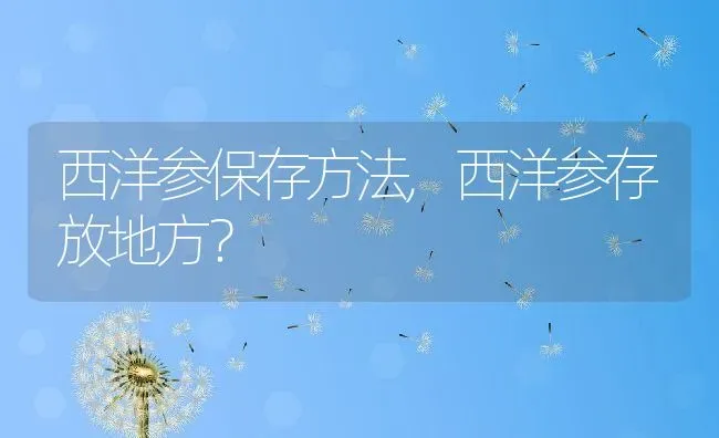 西洋参保存方法,西洋参存放地方？ | 养殖科普